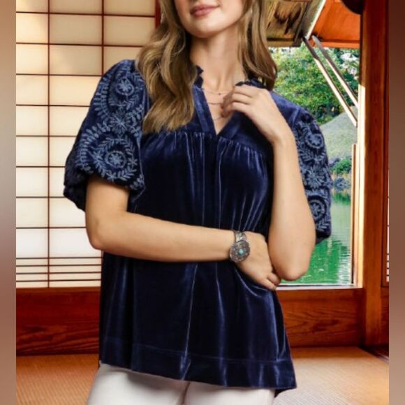*Last Day* Umgee Reg Plus Size Blue Velvet Embroidered Sleeve Blouse S M L - Picture 1 of 10
